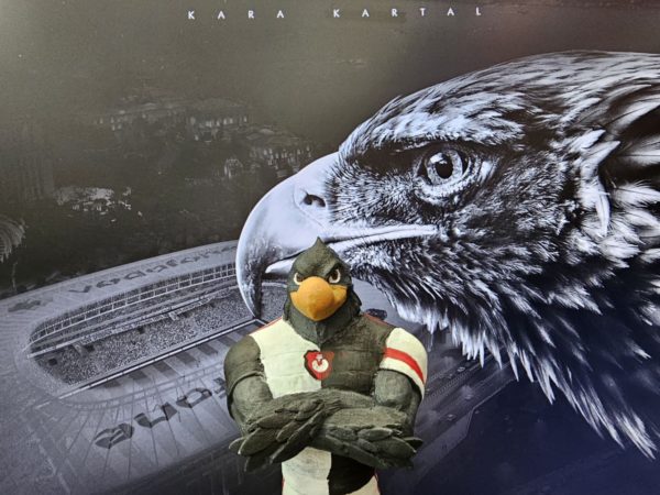 Kartal Maskot - Beşiktaş BJK - Görsel 7