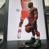Michael Jordan - Görsel 5